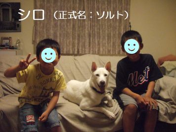 あんこちゃん 新生活スタート!_f0242002_221827.jpg
