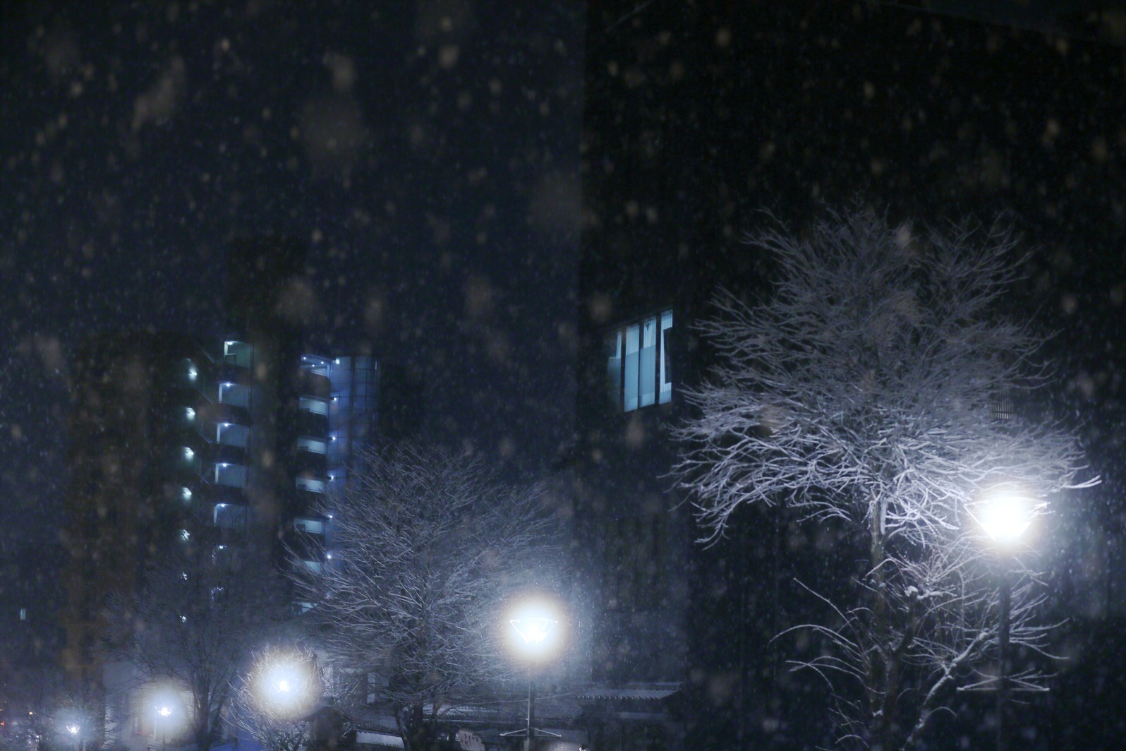 a0155104_2221885.jpg