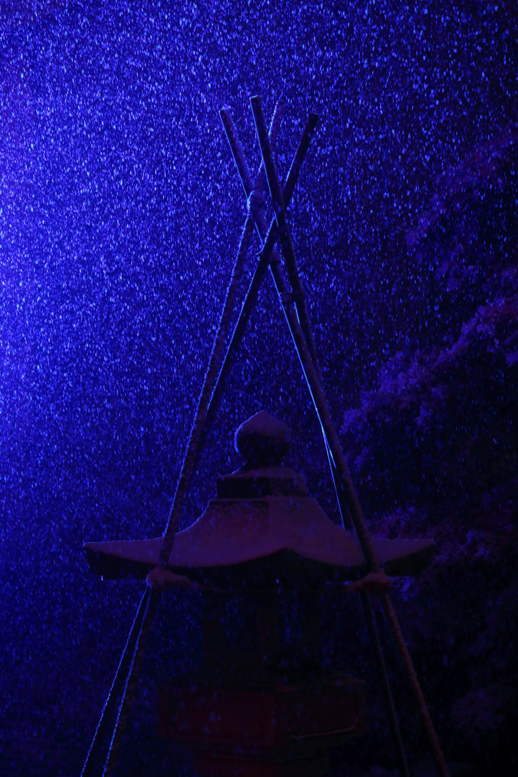 a0155104_2244861.jpg