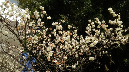 c0212604_024964.jpg