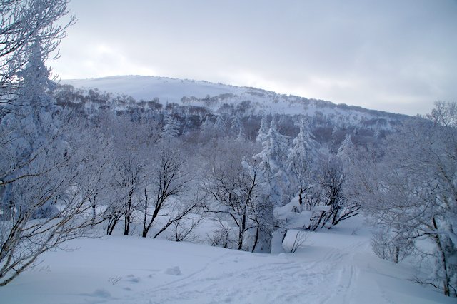 a0345007_17361796.jpg