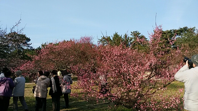 f0231709_0124553.jpg