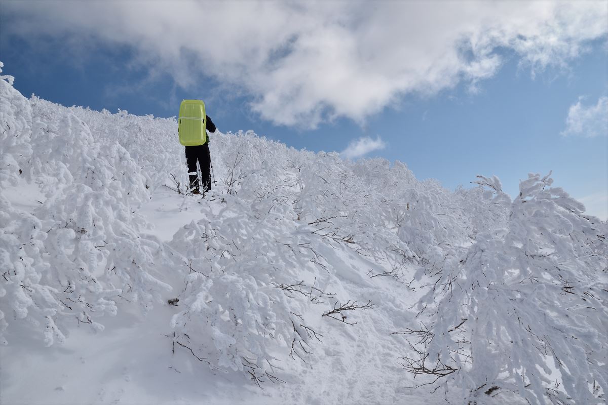 これぞ白銀世界！　徳舜瞥山　2016.2.11_a0145819_20261965.jpg