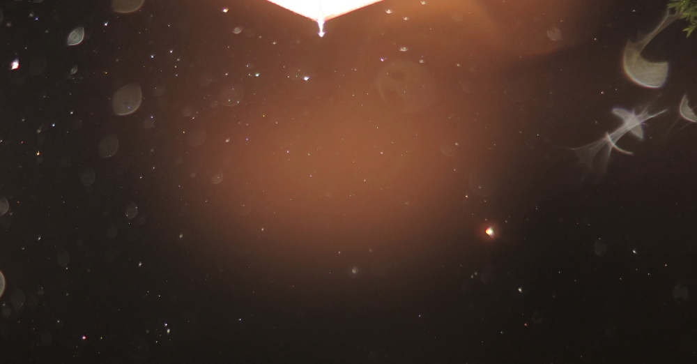 c0331825_13335001.jpg
