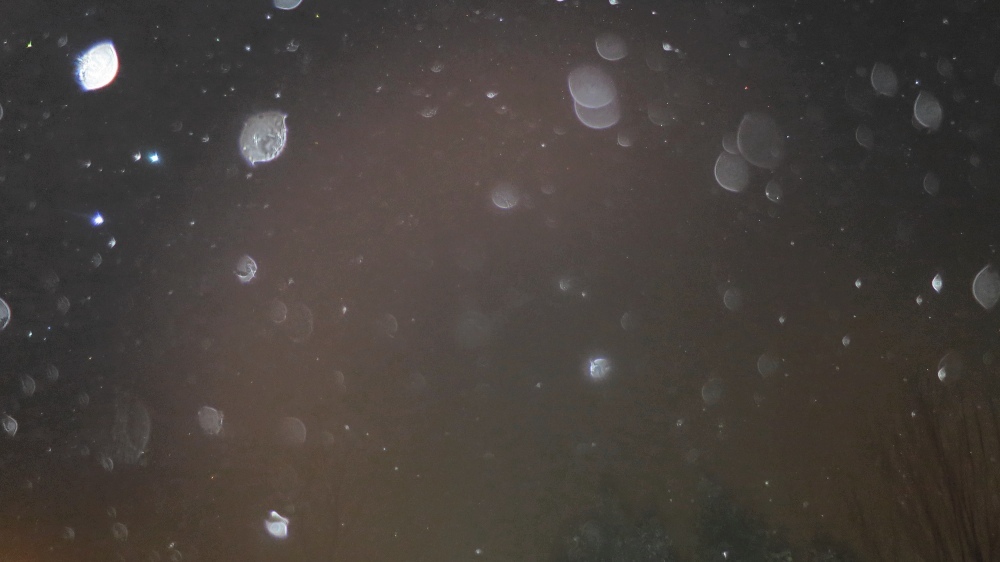 c0331825_13422627.jpg