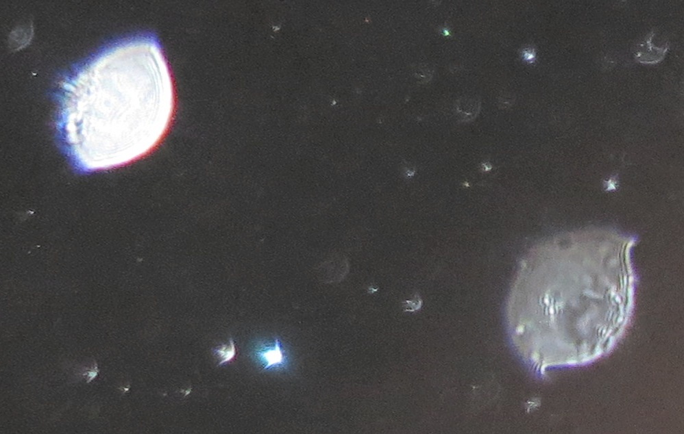 c0331825_13423764.jpg