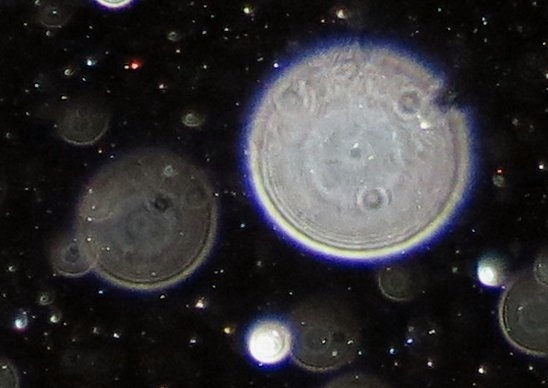c0331825_13573128.jpg