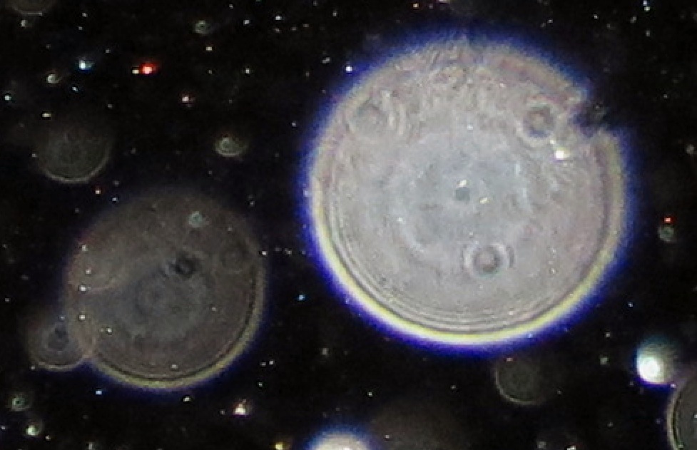 c0331825_13573752.jpg
