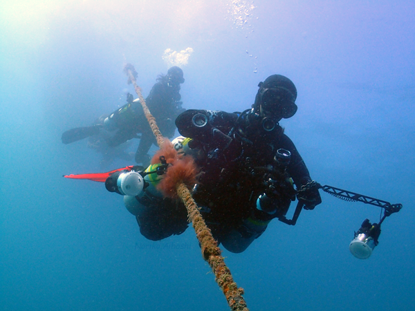 b0044726_18411647.png
