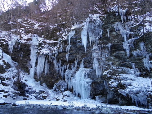 奥秩父・三十槌の氷柱と宝登山の蠟梅日帰りバスツアー_d0026830_22195013.jpg