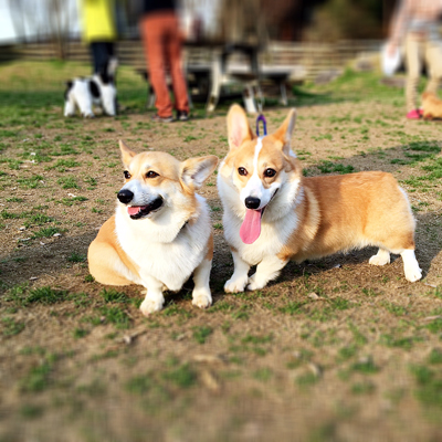 おそとで遊んだばい_f0035333_1631682.jpg