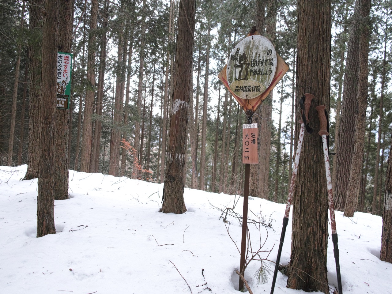 雪道を五台山-一本松-人里散歩_c0008948_15255697.jpg