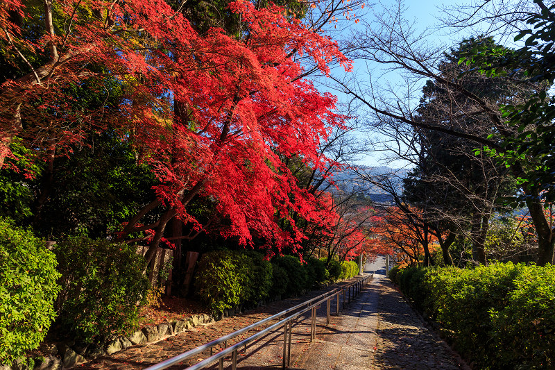 京都の紅葉2015・宗忠神社の彩_f0155048_21233077.jpg