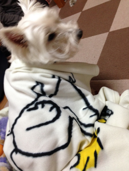 b0239151_11111038.png