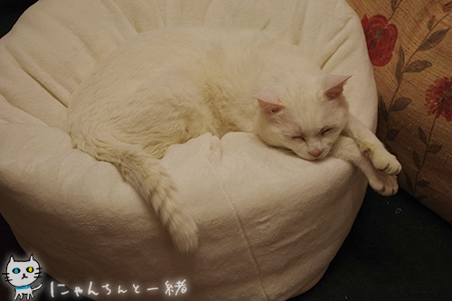 住めば都♪_e0031853_2123362.jpg