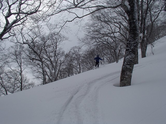 2016.2.11 閑静な山域の須金岳へ_a0344771_11003212.jpg