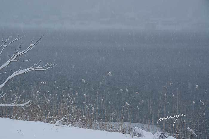 雪の青木湖_c0085877_07113200.jpg