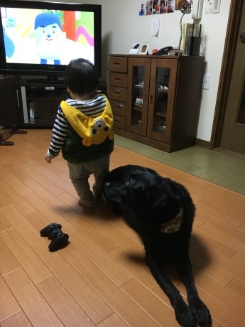 e0160787_19153734.jpeg