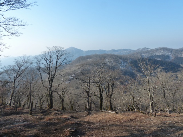 石楠越、山犬切、上福根、オコバ谷の周回_f0357487_22195276.jpg