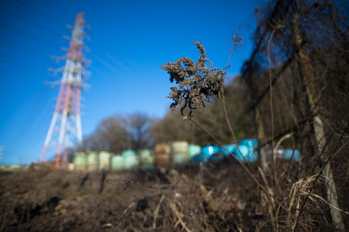 少年時代をフラッシュバックさせるタンクたち_d0353489_16431562.jpg