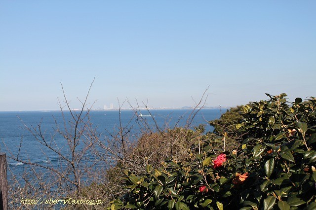 冬の海辺での休日　②観音崎灯台_c0087094_20502546.jpg