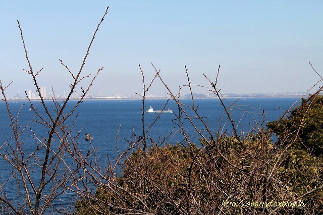 冬の海辺での休日　②観音崎灯台_c0087094_20570267.jpg