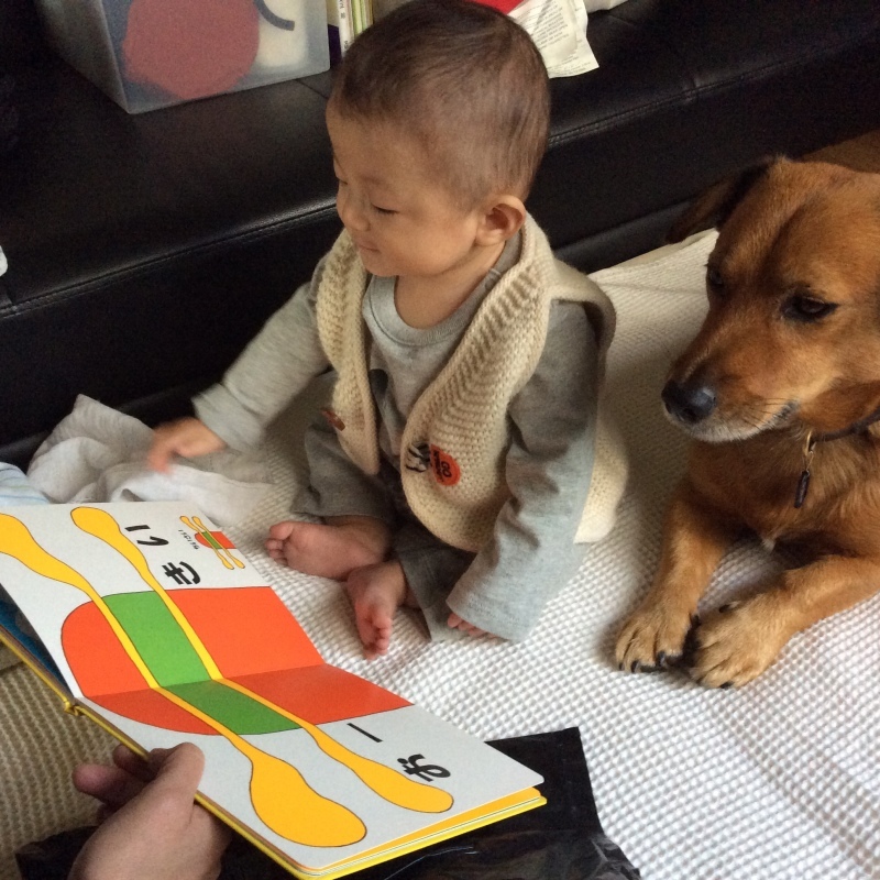 b0220002_23321492.jpeg