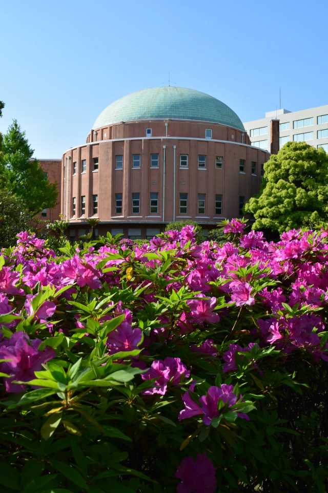 東京墨田区の旧両国公会堂(大正モダン建築再訪)_f0142606_843236.jpg