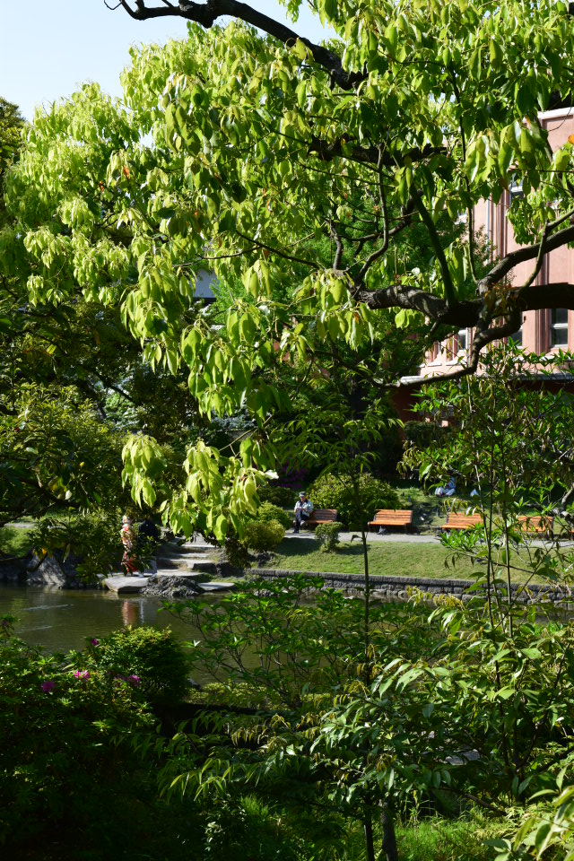 東京墨田区の旧両国公会堂(大正モダン建築再訪)_f0142606_856455.jpg