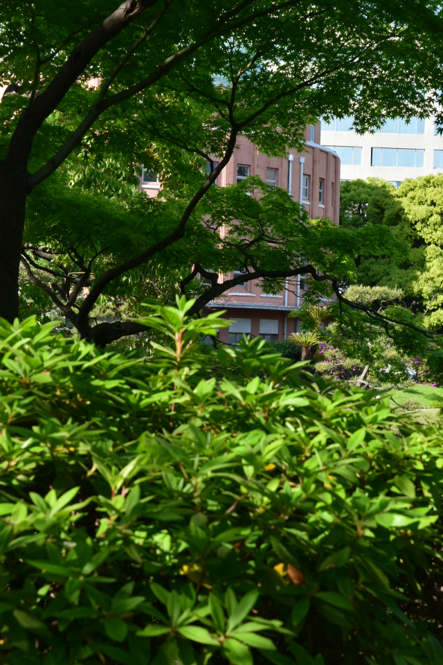 東京墨田区の旧両国公会堂(大正モダン建築再訪)_f0142606_919160.jpg