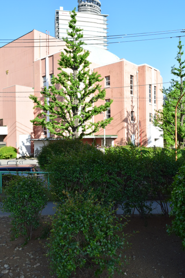 東京墨田区の旧両国公会堂(大正モダン建築再訪)_f0142606_933799.jpg