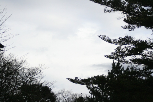 今日はこんな天気_e0179508_09291122.jpg
