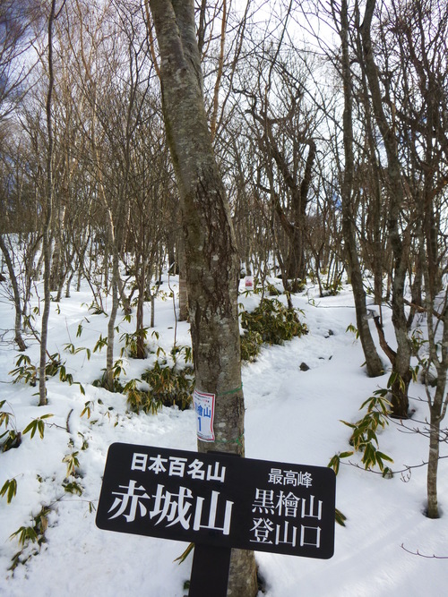a0236914_1882756.jpg