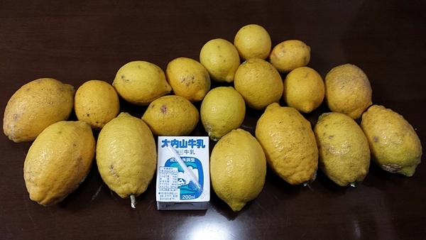 檸檬 レモン LEMON_f0129726_19442854.jpg