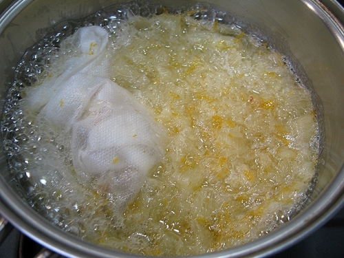 檸檬 レモン LEMON_f0129726_19543872.jpg