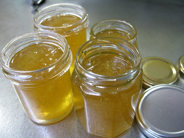 檸檬 レモン LEMON_f0129726_19593675.jpg
