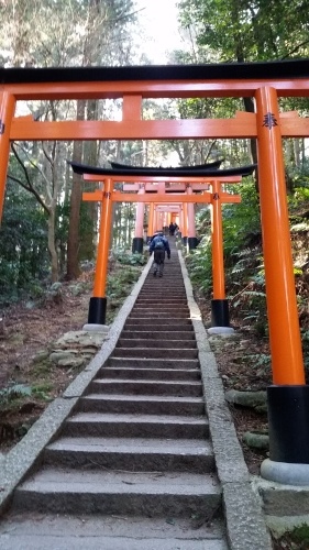 京都・伏見稲荷大社その1_a0345833_00152075.jpg