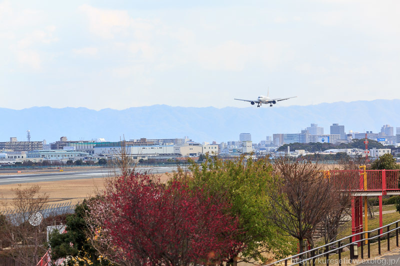 伊丹空港2016 千里川堤防と伊丹スカイパーク_b0325840_19140469.jpg