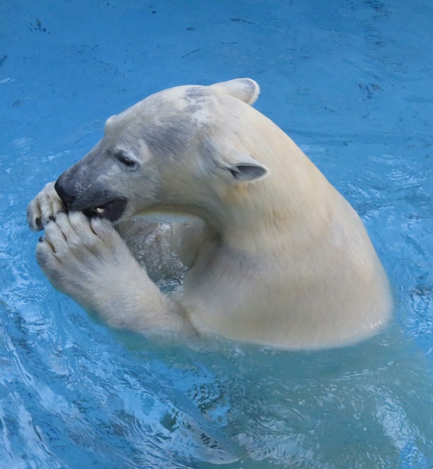 f0002743_22171911.jpg