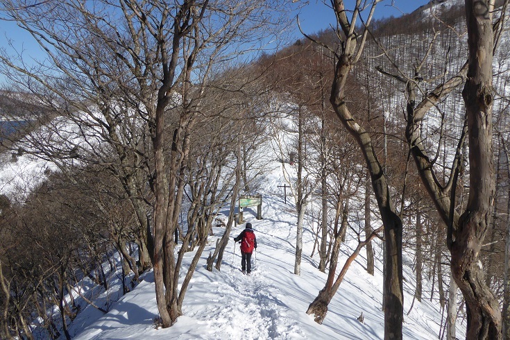 2/11　日光・社山　＝雨量計（1550m地点）で時間切れ撤退＝_d0288144_16275488.jpg