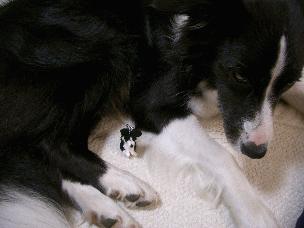 e0128144_06073644.gif