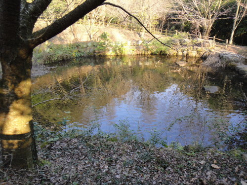 c0179351_09014712.jpg