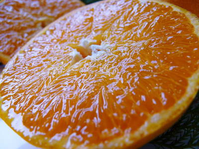 究極の柑橘『せとか』　平成28年度初収穫＆初出荷!!その１(とろっとろの食感です）_a0254656_16544989.jpg