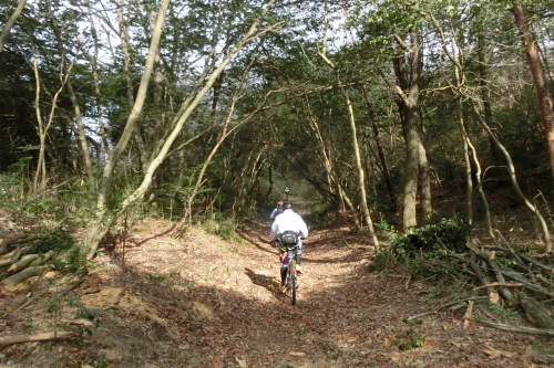 奈良・平城宮跡ＭＴＢポタリング_b0332867_19373337.jpg