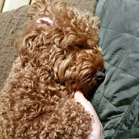 c0311170_21110392.jpg