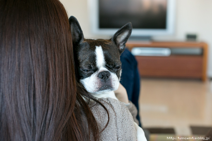 名犬じゃない方の。_f0202170_23331619.jpg