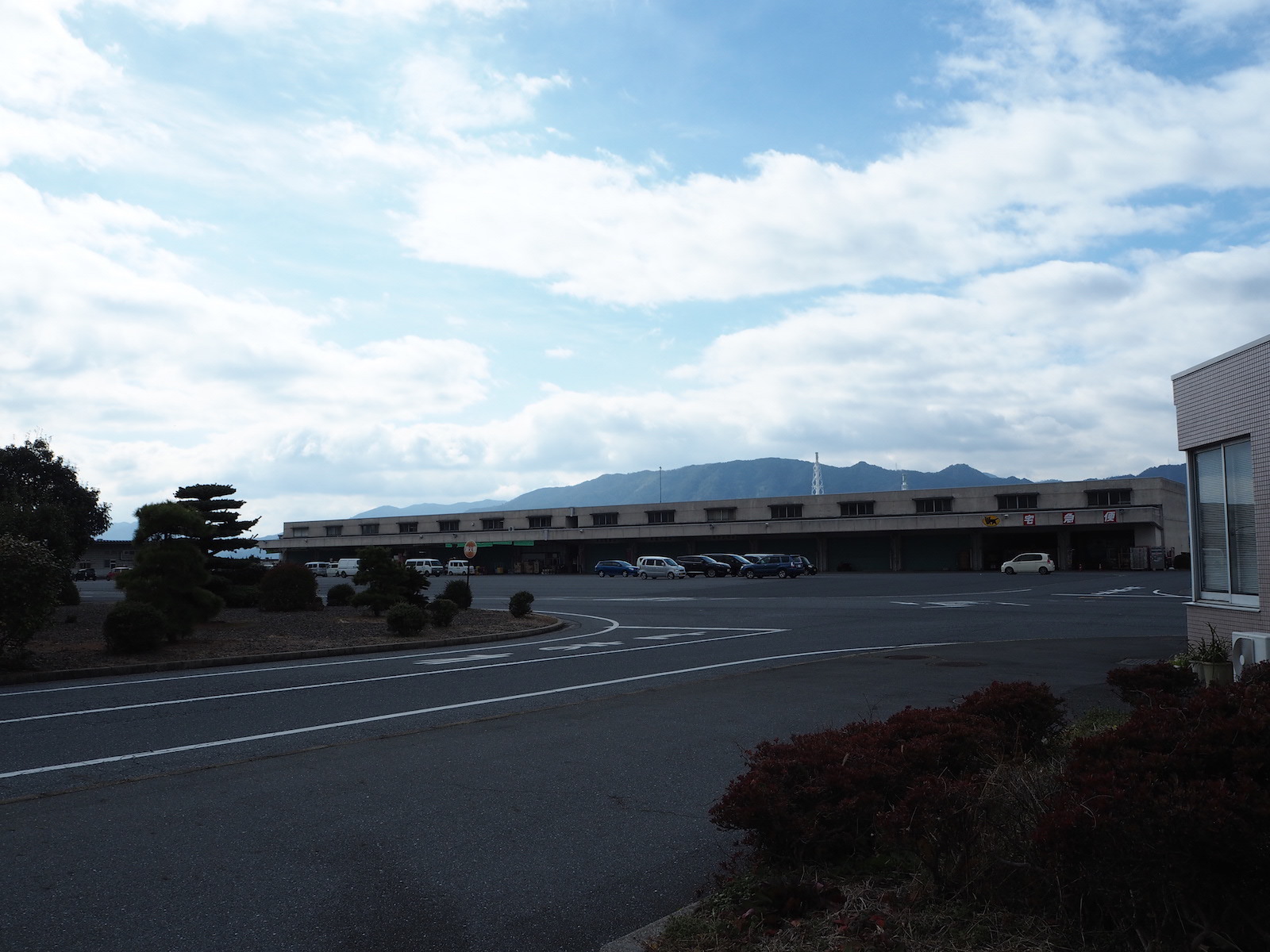 蓮田を抜けてランチ Mameka 尾津 瀬戸内航路
