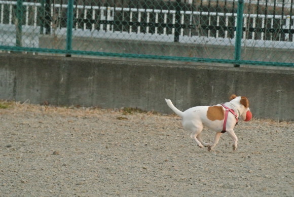 c0345972_11572820.jpg