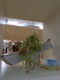 もう、大丈夫!!!_d0165772_20405157.jpg