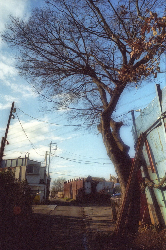 f0167482_21152068.jpg